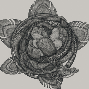 高清动态污插女b免费
