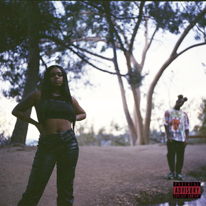 高清动态污插女b免费
