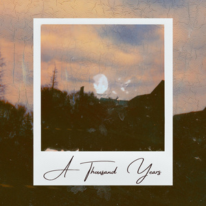 高清动态污插女b免费
