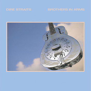 高清动态污插女b免费
