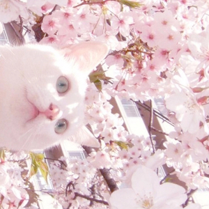 高清动态污插女b免费
